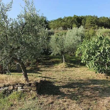 Casa D'oro * Morleschio