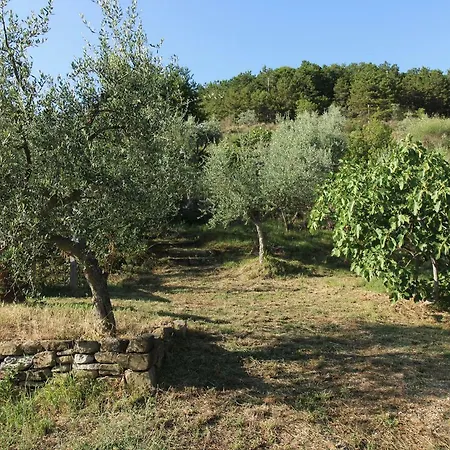 Casa D'oro Casa vacanze *